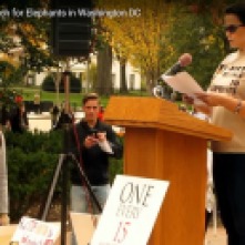 Ivory Free Ohio Founder; Christina LaMonica delivers White House speech.
