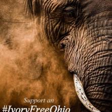 Ivory Free Ohio